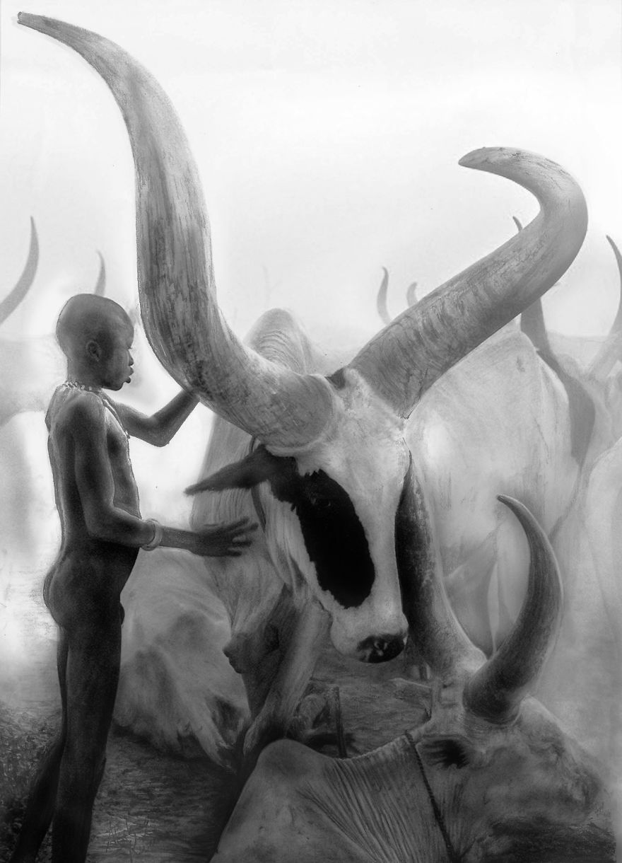 Graphite Rush: My Photo-Realistic Pictures Drawn With Graphite Pencils Graphite Rush: My Photo-Realistic Pictures Drawn With Graphite Pencils