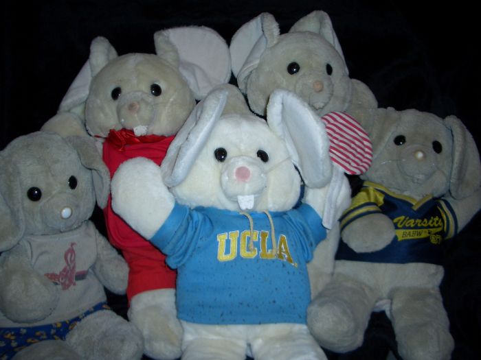 My Mousey And His Siblings. *mousey Is On The Far Left Had Him Since I Was 3.*