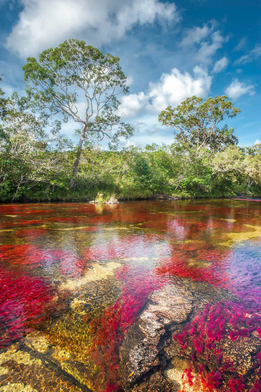 Caño Cristales - Colombia