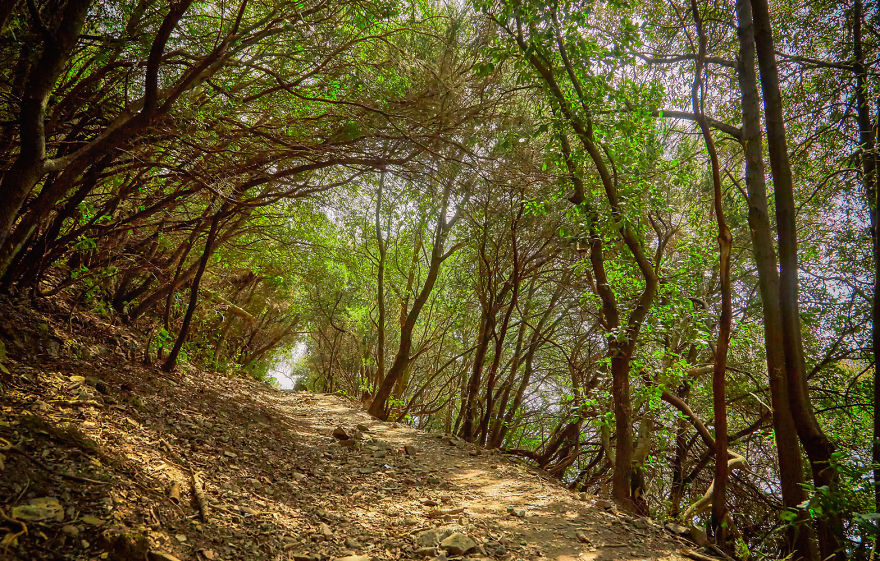 Cinque Terre, An Italian Wonder Cinque Terre, An Italian Wonder