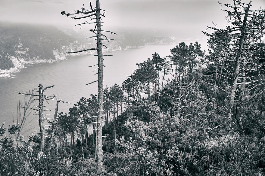 Cinque Terre, An Italian Wonder Cinque Terre, An Italian Wonder