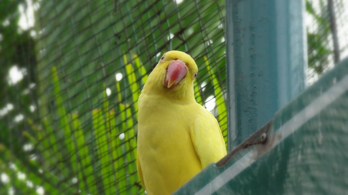 Am I Being Photographed? O.o