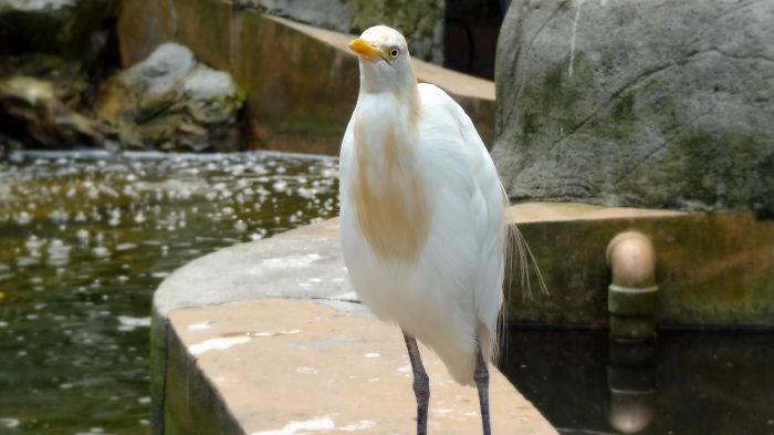 Excuse Me! Are You Staring At Me? :-/