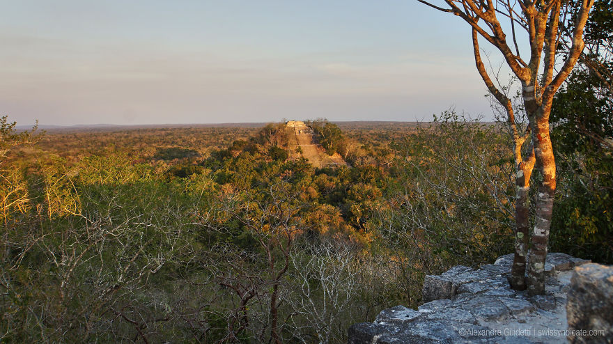 Mayan City Of Calakmul, Campeche Mexico