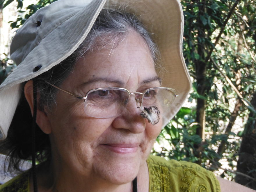 Elderly woman wearing glasses with a butterfly resting on her nose in a natural outdoor setting with greenery.