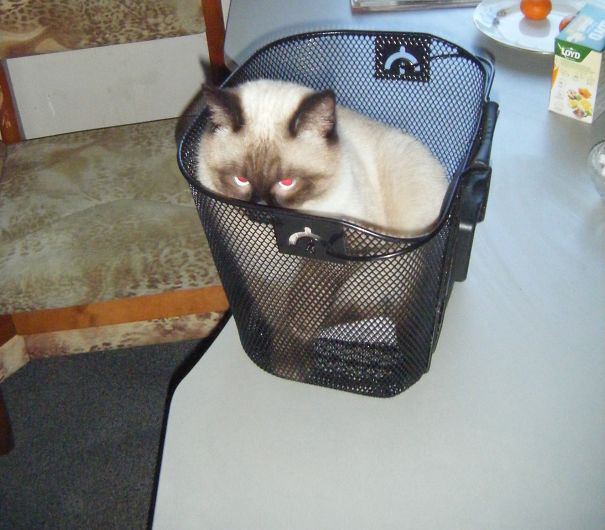 But I Need It Now....