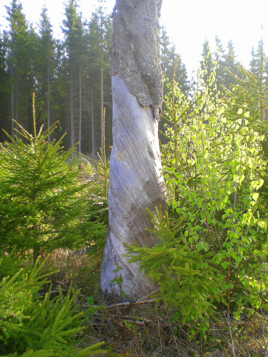 A Bruce, - Following The Sun's Path ?