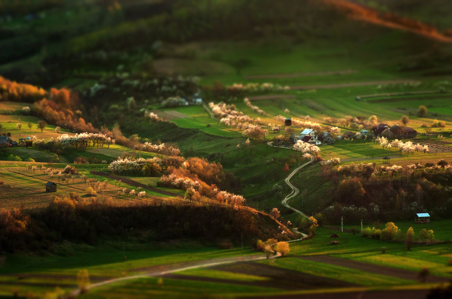 Transylvanian Dawns And Dusks