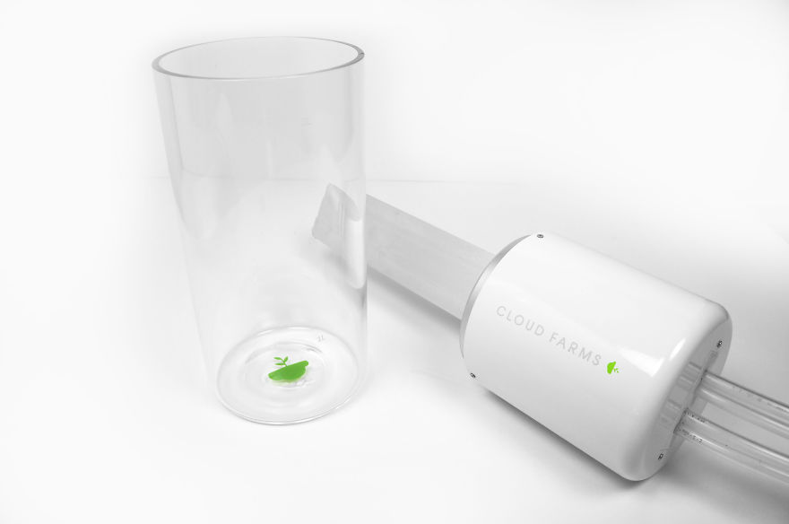 My Window Greenhouse Grows Fresh Vegetables All Year Long My Window Greenhouse Grows Fresh Vegetables All Year Long