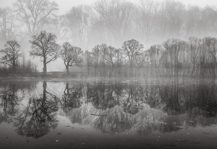 My Double Exposure Landscapes