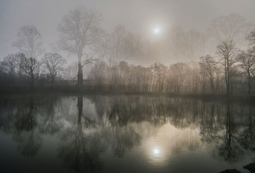 My Double Exposure Landscapes