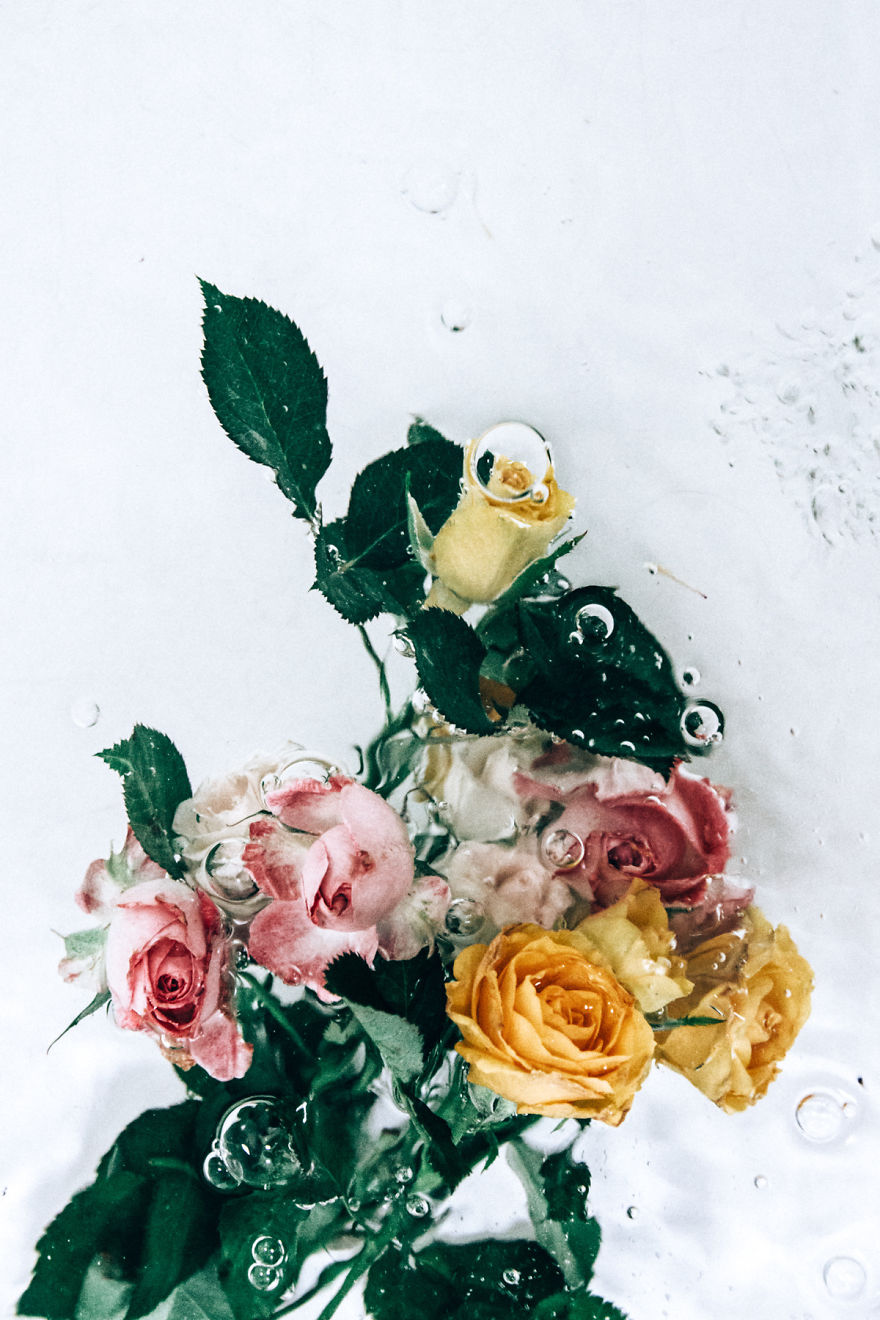 Flotsam: Flower Portraits Captured Underwater Flotsam: Flower Portraits Captured Underwater