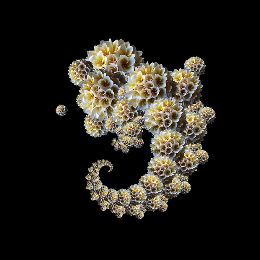 Fractals And Beyond: My Digitally Designed Complex Structures Fractals And Beyond: My Digitally Designed Complex Structures