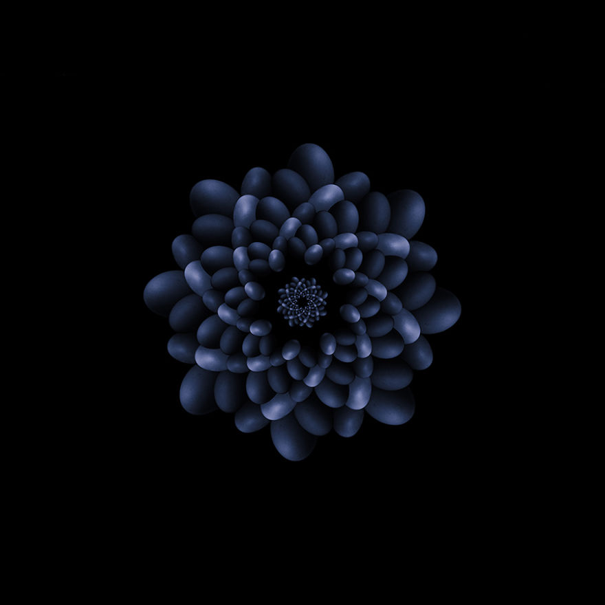 Fractals And Beyond: My Digitally Designed Complex Structures Fractals And Beyond: My Digitally Designed Complex Structures