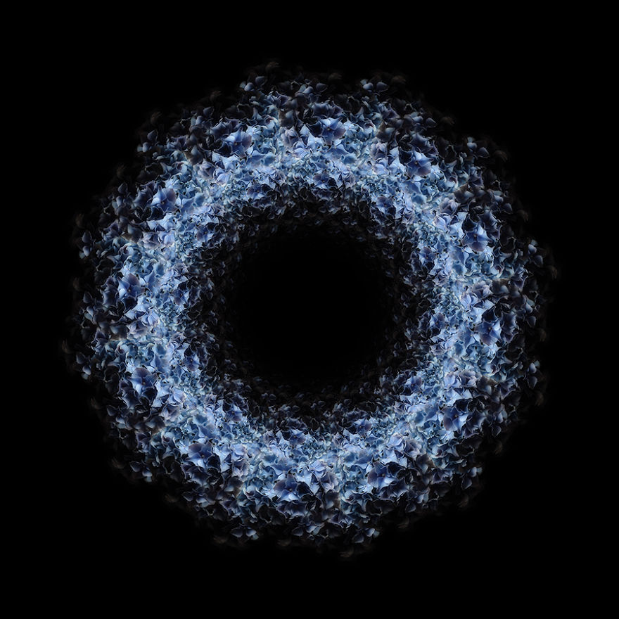 Fractals And Beyond: My Digitally Designed Complex Structures