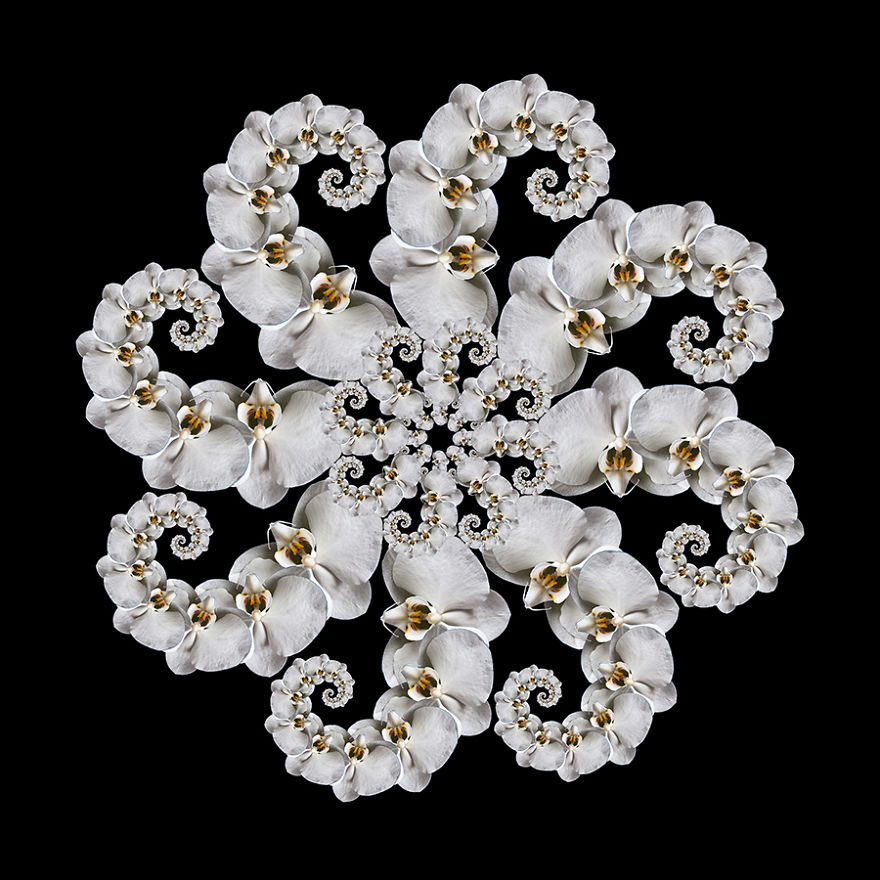 Fractals And Beyond: My Digitally Designed Complex Structures Fractals And Beyond: My Digitally Designed Complex Structures