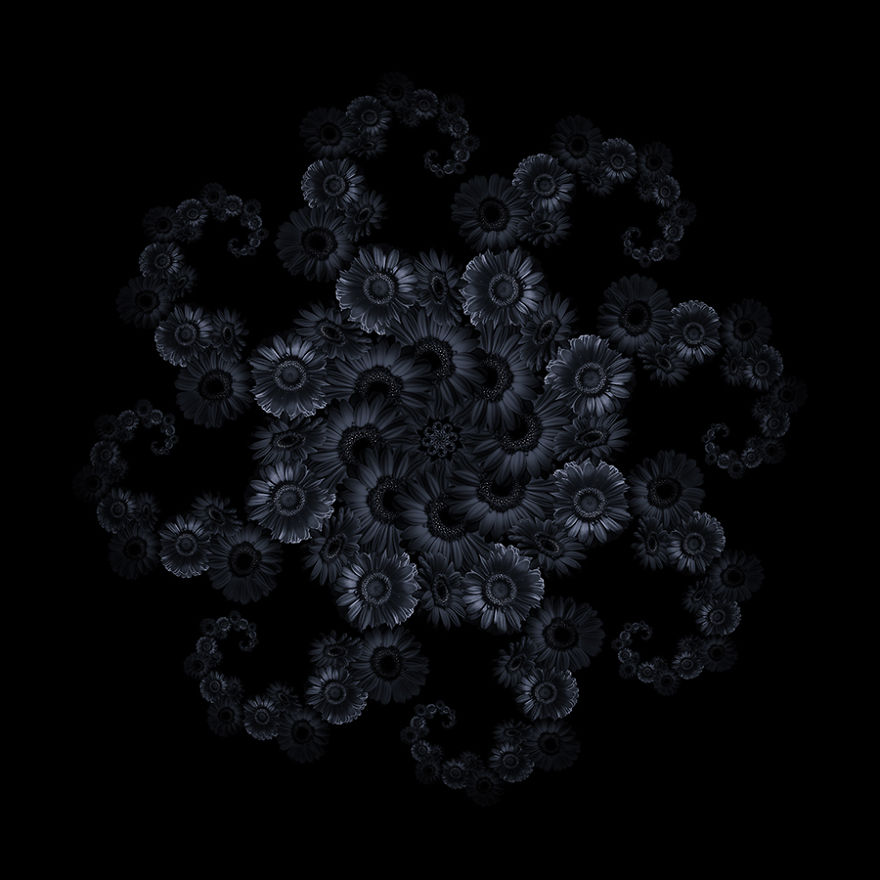 Fractals And Beyond: My Digitally Designed Complex Structures Fractals And Beyond: My Digitally Designed Complex Structures