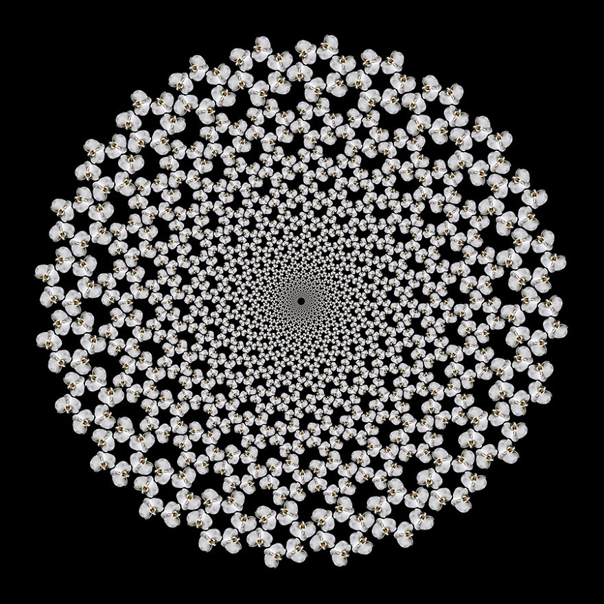 Fractals And Beyond: My Digitally Designed Complex Structures Fractals And Beyond: My Digitally Designed Complex Structures