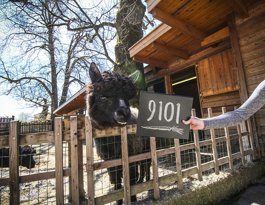 We Quit Our Jobs And Started Traveling To See How Far From Home We Can Get