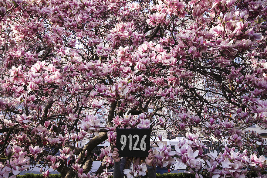 We Quit Our Jobs And Started Traveling To See How Far From Home We Can Get