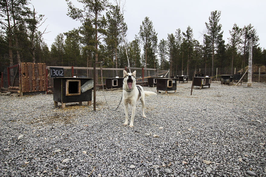 We Quit Our Jobs And Started Traveling To See How Far From Home We Can Get