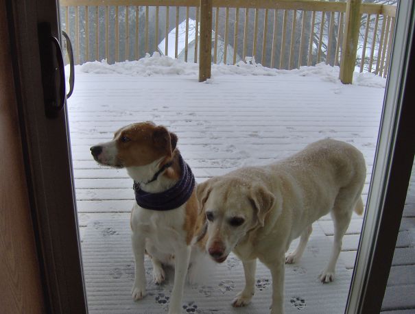 She's Mad Cause I Have Her Scarf Now!