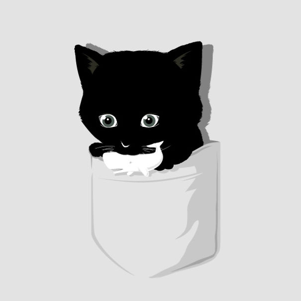 The Amazing Cats: I Illustrate The Secret Lives Of Cats