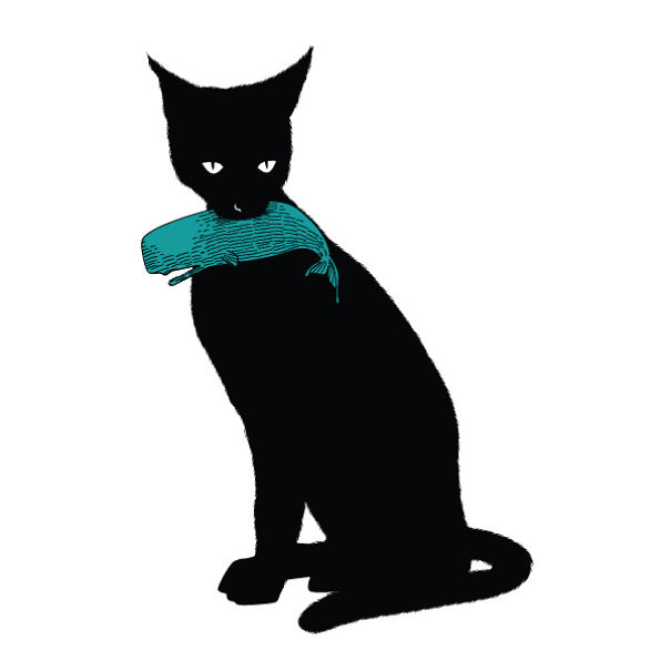 The Amazing Cats: I Illustrate The Secret Lives Of Cats