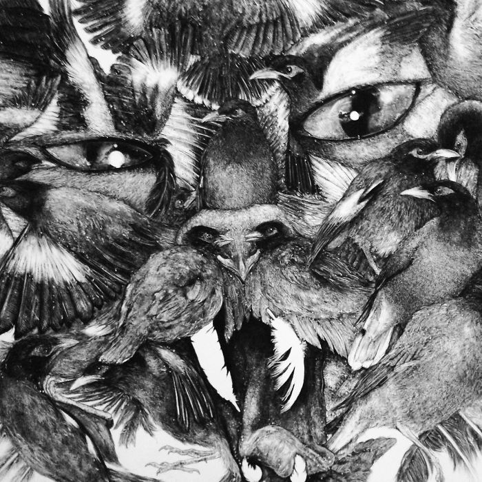 Animal Hybrids Drawn With Charcoal Animal Hybrids Drawn With Charcoal