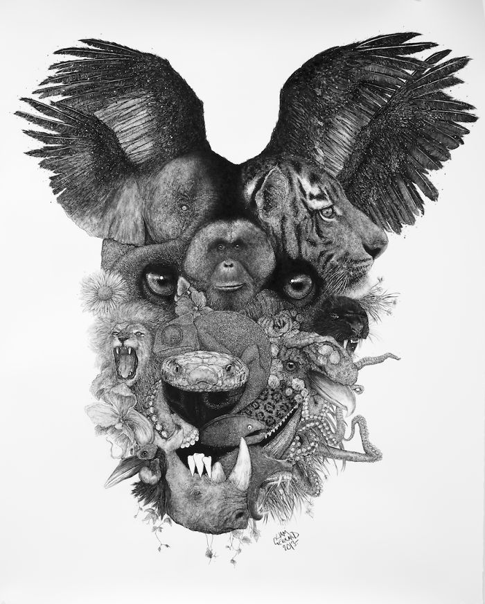 Animal Hybrids Drawn With Charcoal Animal Hybrids Drawn With Charcoal