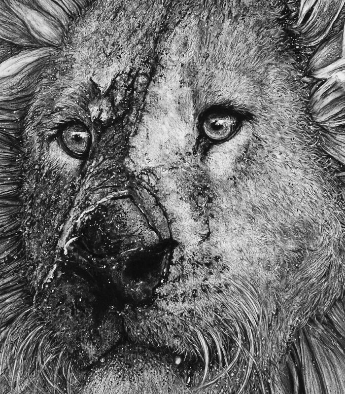 Animal Hybrids Drawn With Charcoal