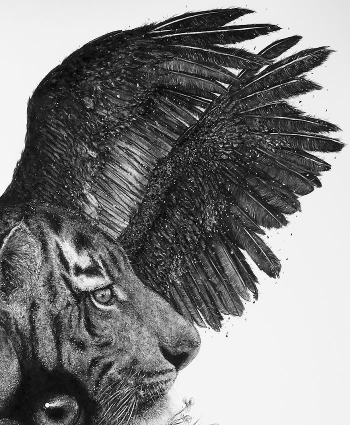 Animal Hybrids Drawn With Charcoal Animal Hybrids Drawn With Charcoal