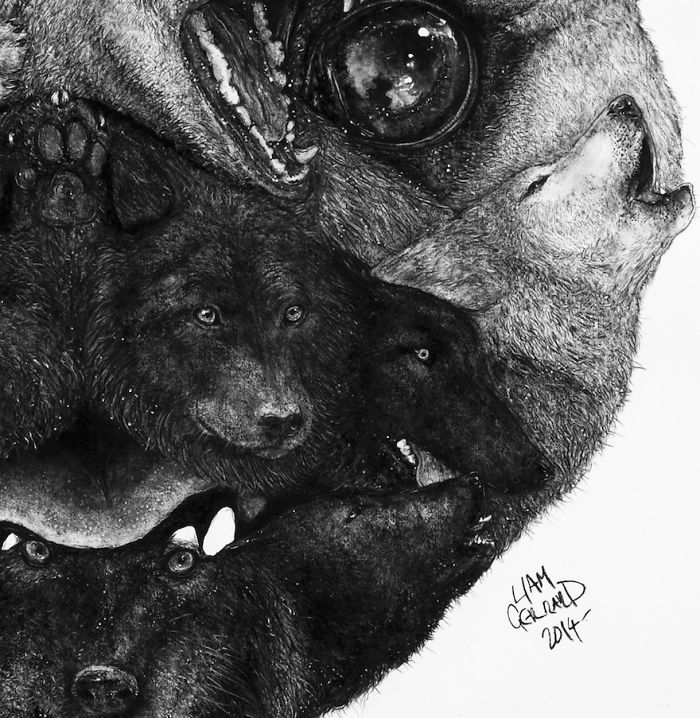 Animal Hybrids Drawn With Charcoal Animal Hybrids Drawn With Charcoal