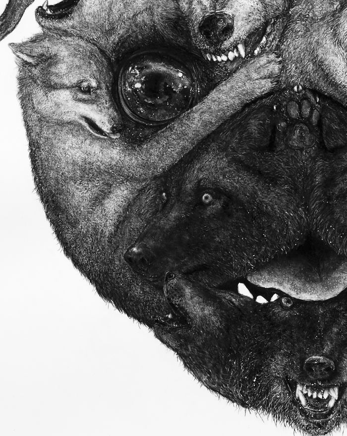 Animal Hybrids Drawn With Charcoal
