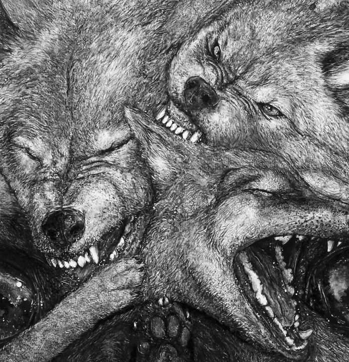 Animal Hybrids Drawn With Charcoal