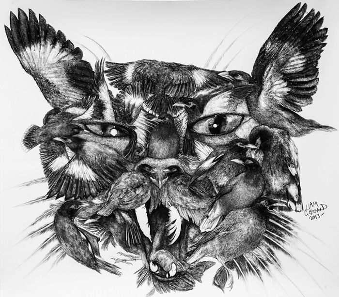 Animal Hybrids Drawn With Charcoal Animal Hybrids Drawn With Charcoal