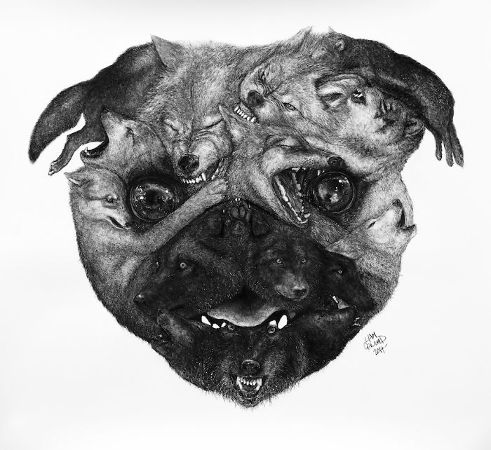 Animal Hybrids Drawn With Charcoal Animal Hybrids Drawn With Charcoal