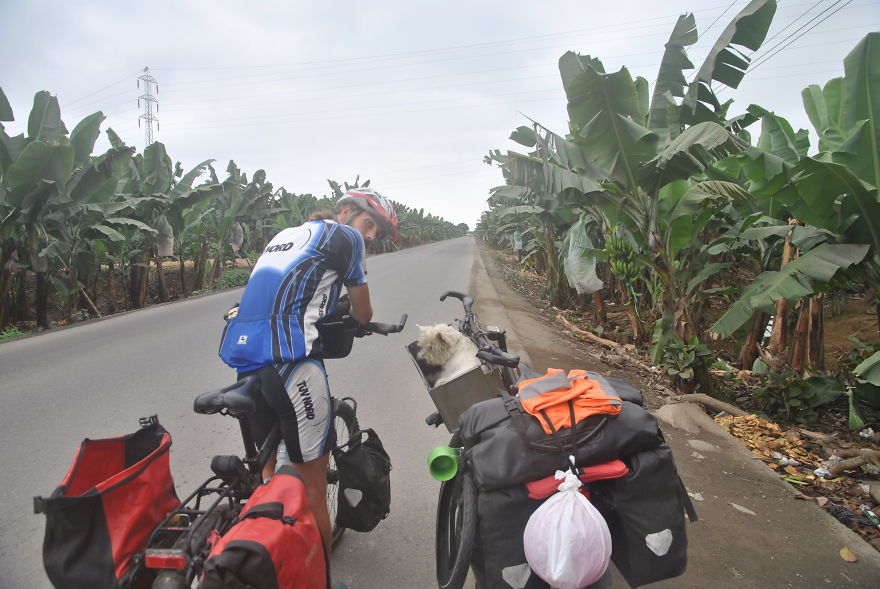 I'm Cycling 26,000 Km Around The World With My Blind Dog Tulku I'm Cycling 26,000 Km Around The World With My Blind Dog Tulku