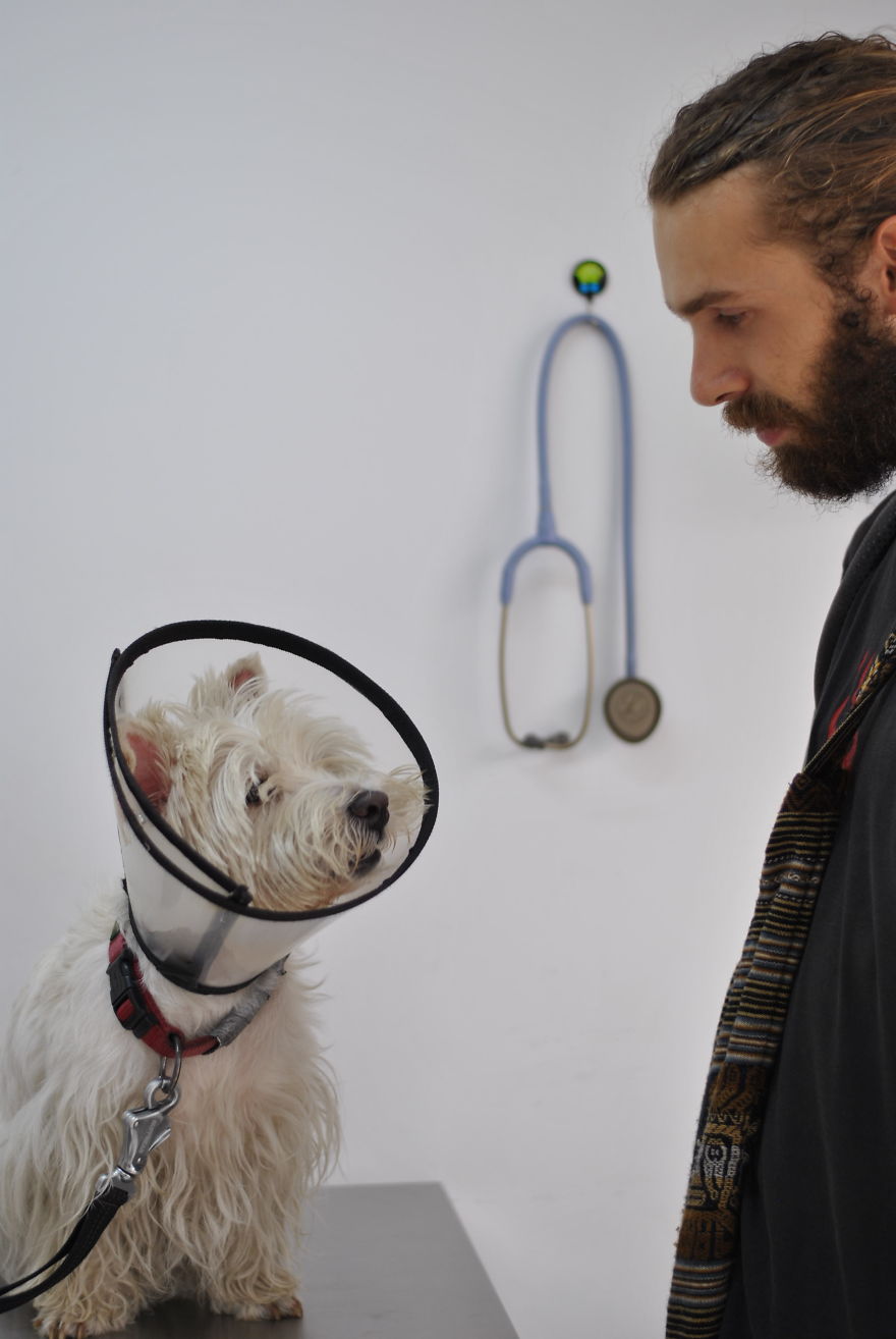 I'm Cycling 26,000 Km Around The World With My Blind Dog Tulku