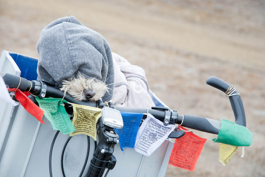 I'm Cycling 26,000 Km Around The World With My Blind Dog Tulku I'm Cycling 26,000 Km Around The World With My Blind Dog Tulku