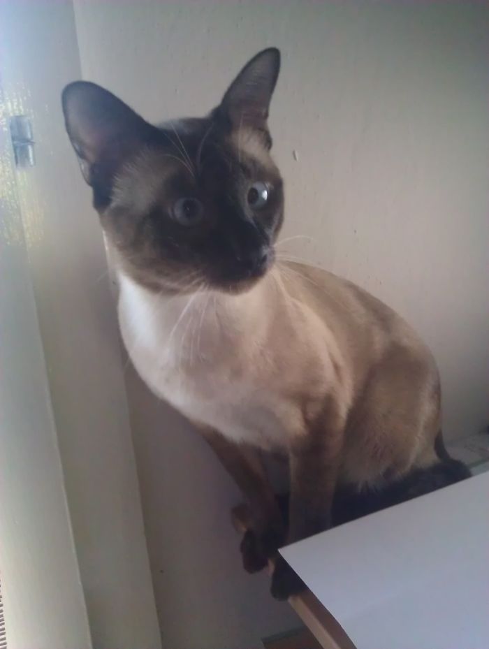 Knock, Knock. Who Is It?