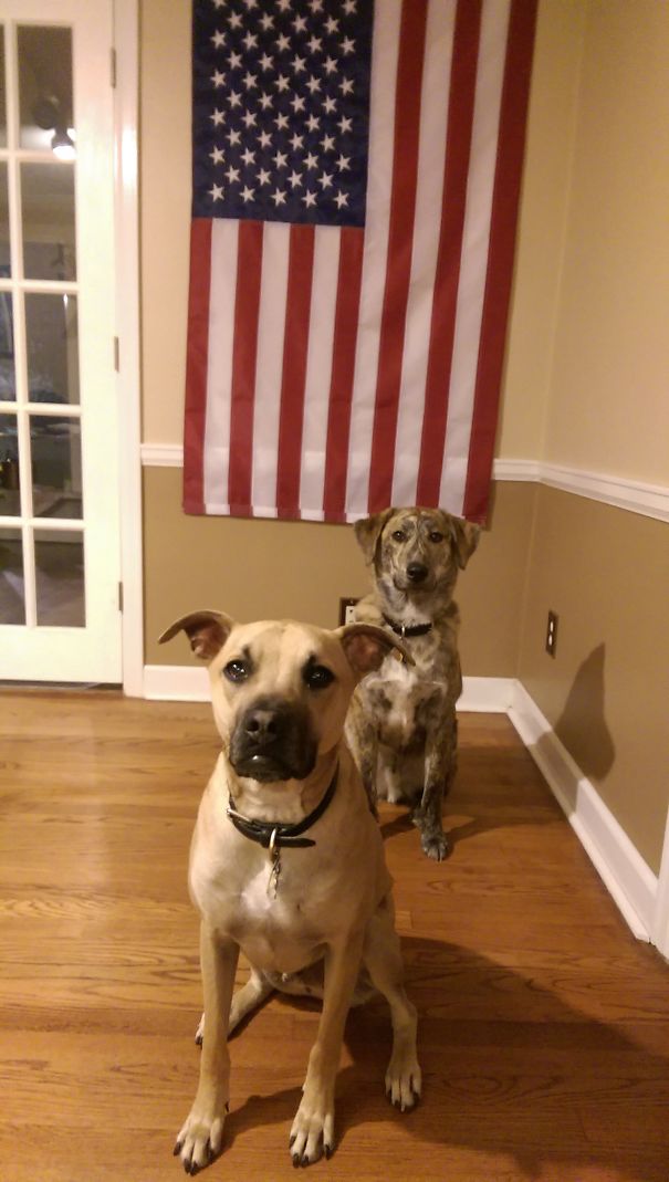 Arthur & Walter Reporting For Duty!