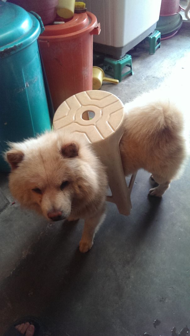 Doesn't Even Realize What Just Happened