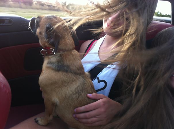 Bella's Human Friends Do Too!