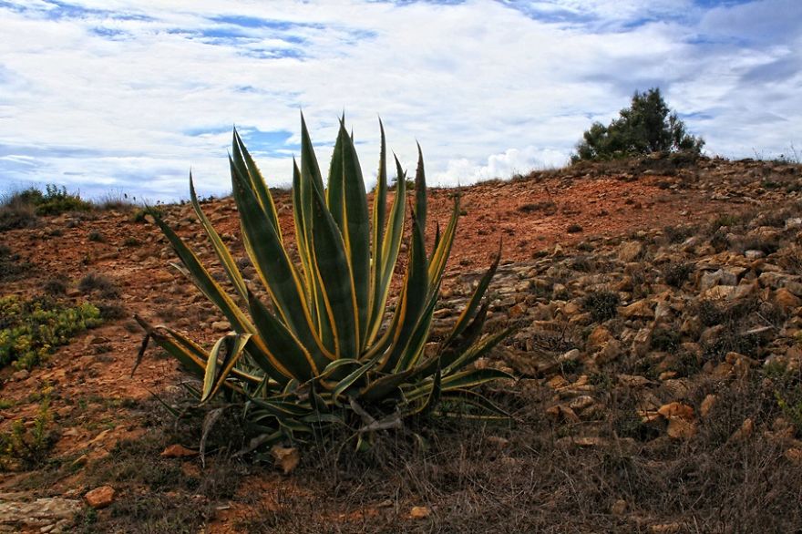 A Piece Of Heaven In Portugal