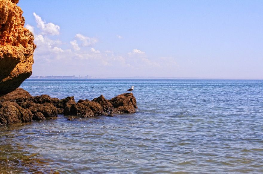 A Piece Of Heaven In Portugal