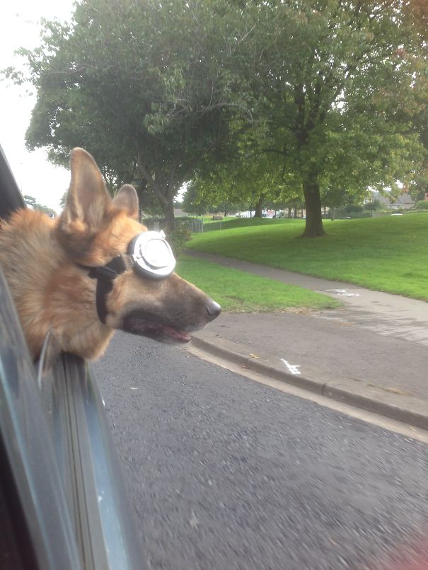 No Flies In My Eyes...