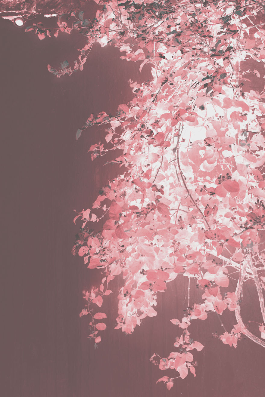 I Photographed Monuments And People Then Turned Them Into Color Negatives They Looked Beautiful