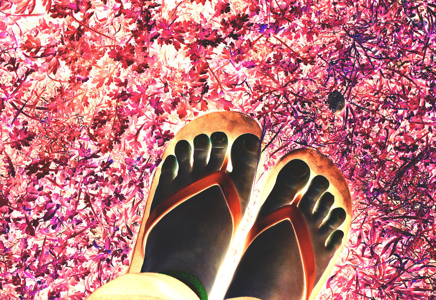 I Photographed Monuments And People Then Turned Them Into Color Negatives They Looked Beautiful