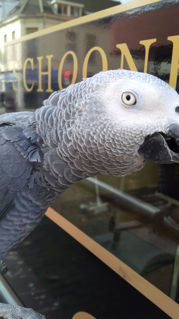 What Do You Have Got There?